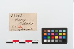 Etiketten zu Glasringperle (NHMW-PRAE-024068)